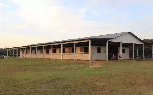 Ocala Horse Farms for Sale, Equestrian properties for sale in Ocala, FL